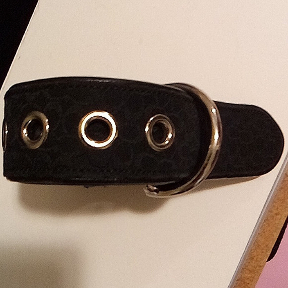AUTHENTIC COACH BELT